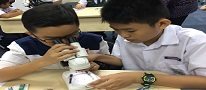 Using microscope kits to enhance science learning in primary school children